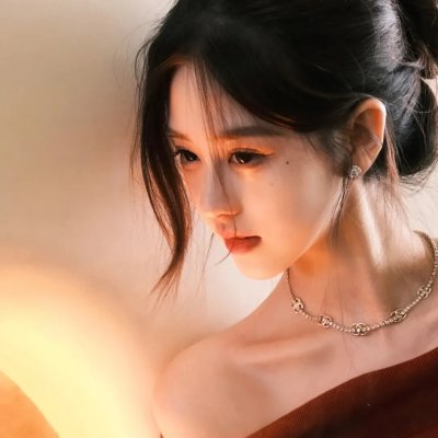 假元首秘纪